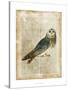 Antiquarian Birds I-null-Stretched Canvas