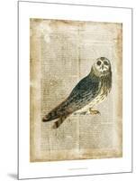 Antiquarian Birds I-null-Mounted Art Print