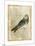 Antiquarian Birds I-null-Mounted Art Print