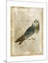 Antiquarian Birds I-null-Mounted Art Print