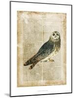 Antiquarian Birds I-null-Mounted Art Print