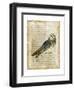 Antiquarian Birds I-null-Framed Art Print