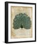 Antiquarian Birds V-null-Framed Art Print