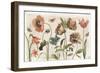 Antiquarian Blooms I-Katie Pertiet-Framed Art Print