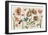Antiquarian Blooms I-Katie Pertiet-Framed Art Print