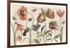 Antiquarian Blooms I-Katie Pertiet-Framed Art Print