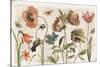 Antiquarian Blooms I-Katie Pertiet-Stretched Canvas