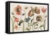 Antiquarian Blooms I-Katie Pertiet-Framed Stretched Canvas