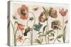 Antiquarian Blooms I-Katie Pertiet-Stretched Canvas