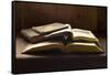 Antiquarian Books-null-Framed Stretched Canvas