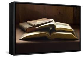 Antiquarian Books-null-Framed Stretched Canvas