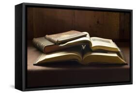 Antiquarian Books-null-Framed Stretched Canvas