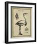 Antiquarian Egret-Vision Studio-Framed Art Print