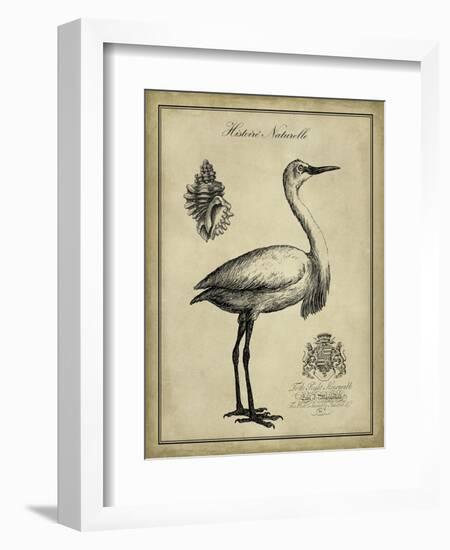 Antiquarian Egret-Vision Studio-Framed Art Print