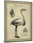 Antiquarian Egret-Vision Studio-Mounted Art Print