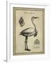 Antiquarian Egret-Vision Studio-Framed Art Print