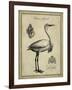 Antiquarian Egret-Vision Studio-Framed Art Print