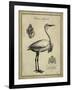 Antiquarian Egret-Vision Studio-Framed Art Print