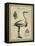 Antiquarian Egret-Vision Studio-Framed Stretched Canvas