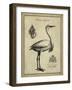 Antiquarian Egret-Vision Studio-Framed Art Print