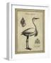 Antiquarian Egret-Vision Studio-Framed Art Print