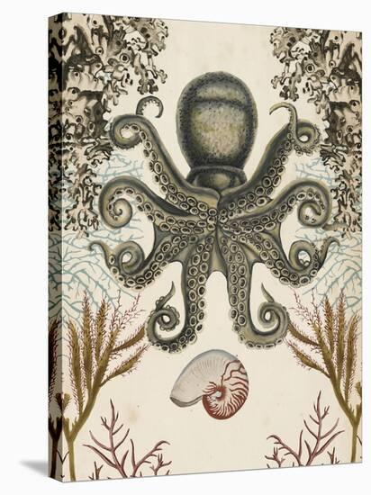 Antiquarian Menagerie - Octopus-Naomi McCavitt-Stretched Canvas