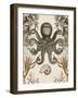 Antiquarian Menagerie - Octopus-Naomi McCavitt-Framed Art Print