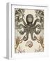 Antiquarian Menagerie - Octopus-Naomi McCavitt-Framed Art Print