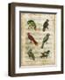 Antiquarian Parrots I-Vision Studio-Framed Art Print