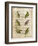 Antiquarian Parrots II-Vision Studio-Framed Art Print