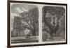 Antiquarian Researches at Helmingham-null-Framed Giclee Print