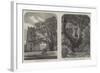 Antiquarian Researches at Helmingham-null-Framed Giclee Print