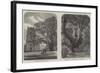 Antiquarian Researches at Helmingham-null-Framed Giclee Print