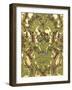 Antique Adornment III-Chariklia Zarris-Framed Art Print