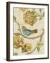 Antique Aviary II-Chariklia Zarris-Framed Art Print