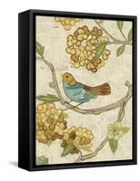 Antique Aviary II-Chariklia Zarris-Framed Stretched Canvas