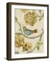 Antique Aviary II-Chariklia Zarris-Framed Art Print