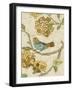 Antique Aviary II-Chariklia Zarris-Framed Art Print