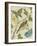 Antique Aviary III-Chariklia Zarris-Framed Art Print