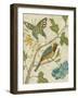 Antique Aviary III-Chariklia Zarris-Framed Art Print