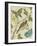 Antique Aviary III-Chariklia Zarris-Framed Art Print