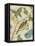 Antique Aviary III-Chariklia Zarris-Framed Stretched Canvas