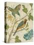 Antique Aviary III-Chariklia Zarris-Stretched Canvas