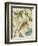 Antique Aviary III-Chariklia Zarris-Framed Art Print