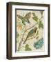 Antique Aviary III-Chariklia Zarris-Framed Art Print