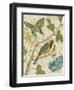 Antique Aviary III-Chariklia Zarris-Framed Art Print