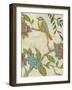 Antique Aviary IV-Chariklia Zarris-Framed Art Print