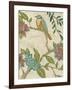 Antique Aviary IV-Chariklia Zarris-Framed Art Print