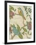 Antique Aviary IV-Chariklia Zarris-Framed Art Print