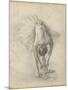 Antique Ballerina Study I-Ethan Harper-Mounted Art Print